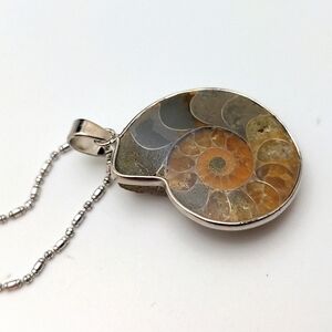 Adjustable Ammonite Pendant Chain Necklace